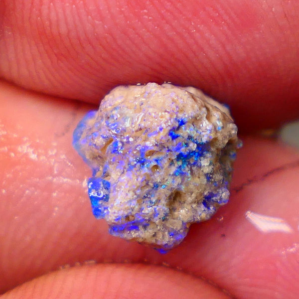 Lightning Ridge Untouched Dark base Crystal Pea Knobby opal rough 2.70cts Very Bright Vibrant Deep Royal Blue fires to gamble 10x10x6mm GMB-023