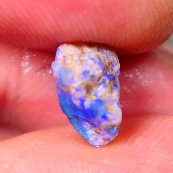 Lightning Ridge Untouched Dark base Crystal Pea Knobby opal rough 2.70cts Very Bright Vibrant Deep Royal Blue fires to gamble 10x10x6mm GMB-023