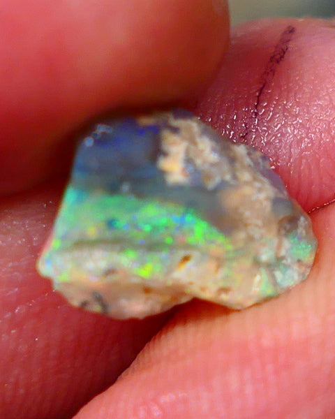 SEE VIDEO  Lightning Ridge Opalised Wood fossil rough opal 2.15cts Stunning Multicolours featuring oranges & Yellows 12x9x4mm GMB022