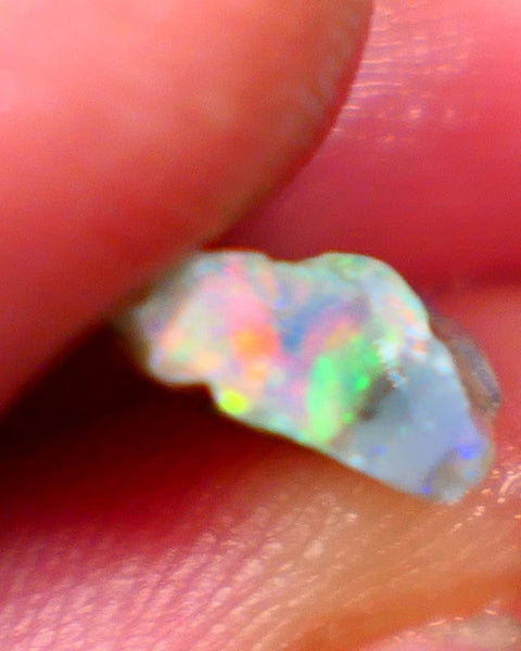 SEE VIDEO  Lightning Ridge Opalised Wood fossil rough opal 2.15cts Stunning Multicolours featuring oranges & Yellows 12x9x4mm GMB022