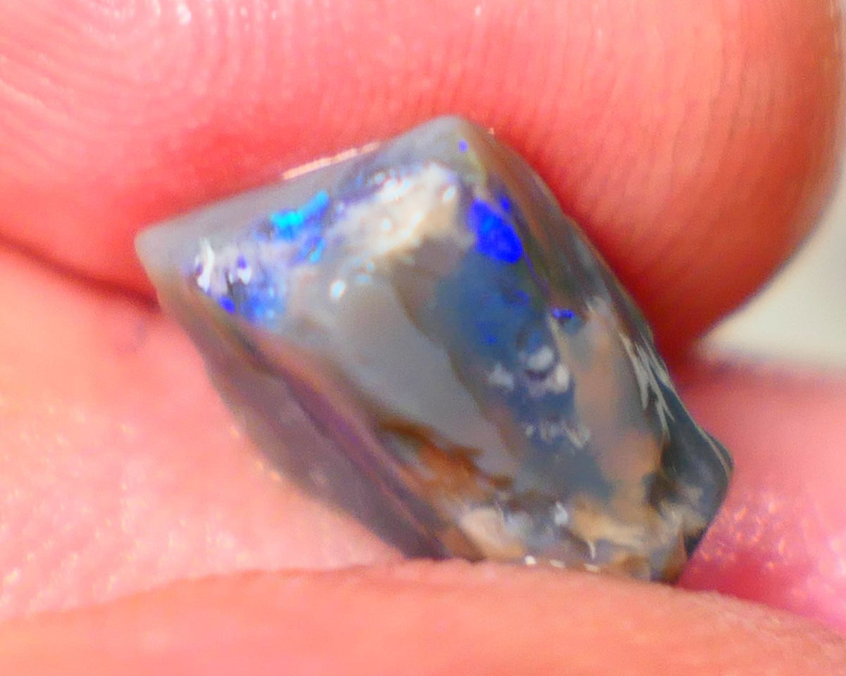 Lightning Ridge Dark base opalised wood fossil rough 3.75cts Stunning Vivid Vibrant Royal Blue fires 12x10x6mm GMB-020