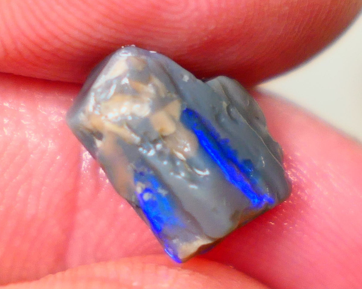 Lightning Ridge Dark base opalised wood fossil rough 3.75cts Stunning Vivid Vibrant Royal Blue fires 12x10x6mm GMB-020