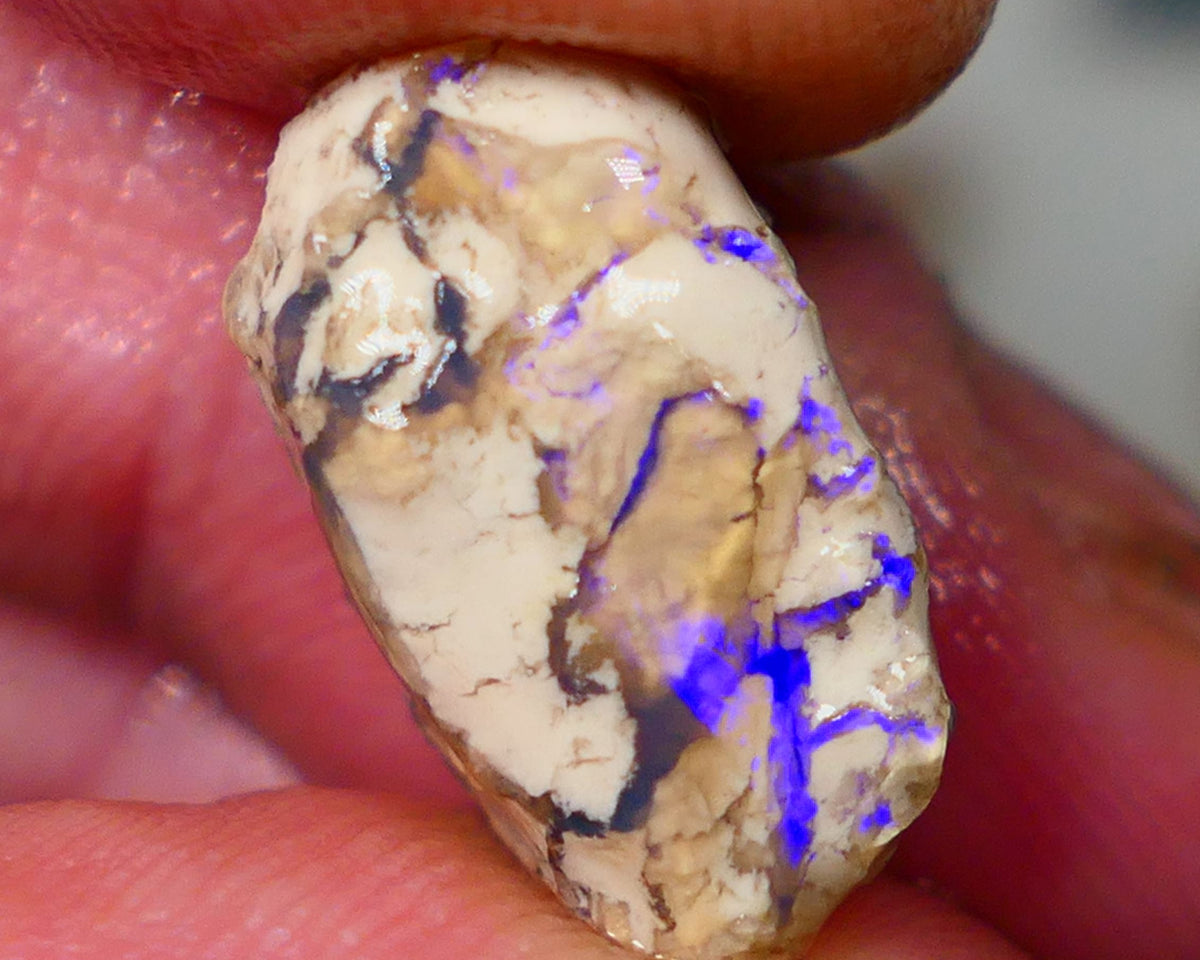 Lightning Ridge Opal formation rough 9.50cts Bright Blues fires to opal veins on one side of this sand/clay host 17x11x9mm GMB-019