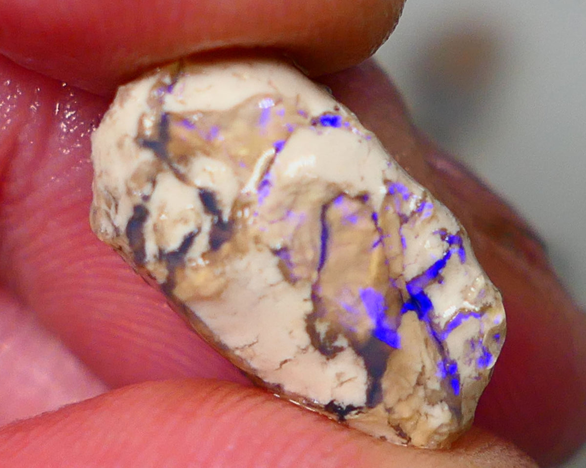 Lightning Ridge Opal formation rough 9.50cts Bright Blues fires to opal veins on one side of this sand/clay host 17x11x9mm GMB-019