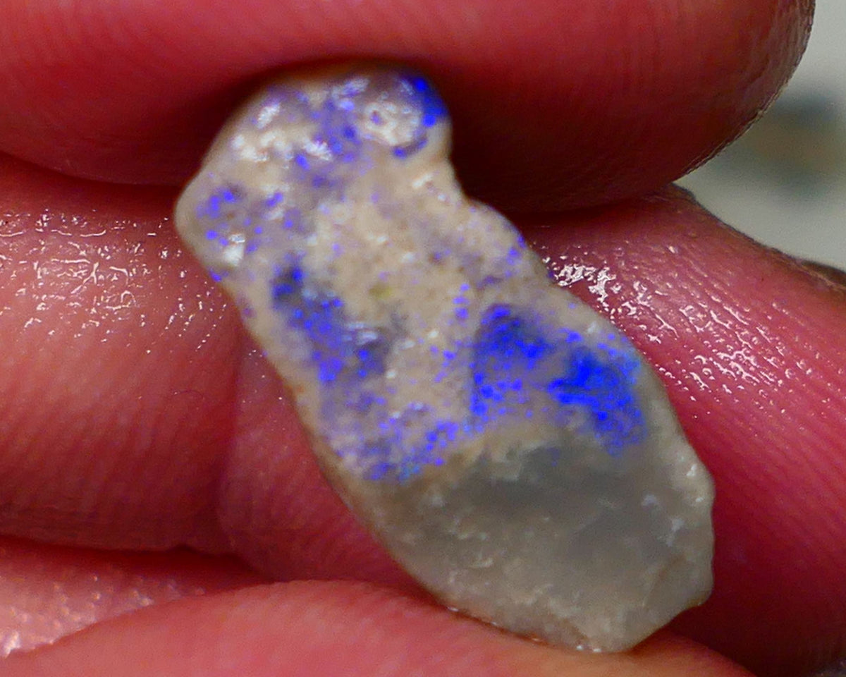 Lightning Ridge Dark base opal rub/rough Blues showing on exposed face 20x9x8mm GMB-050