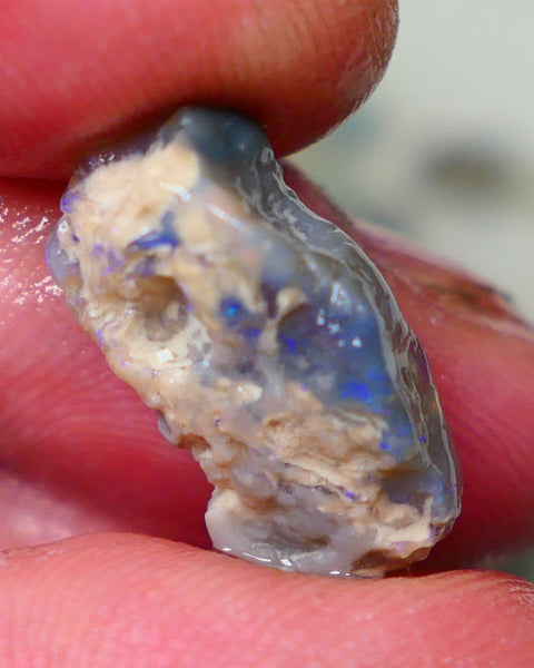 Lightning Ridge Dark Crystal knobby opal rough 7.00cts Bright Blue bar to expose sold as gamble 20x9x7mm GMB-048