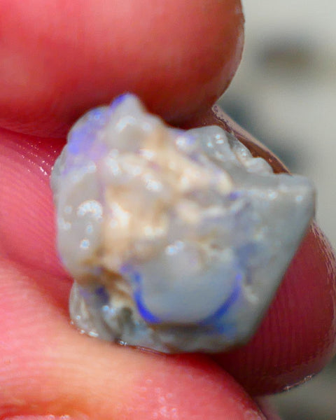 Lightning Ridge Untouched Dark base Knobby rough 7.50cts Blue fires sold as gamble 13x12x9mm GMB-045