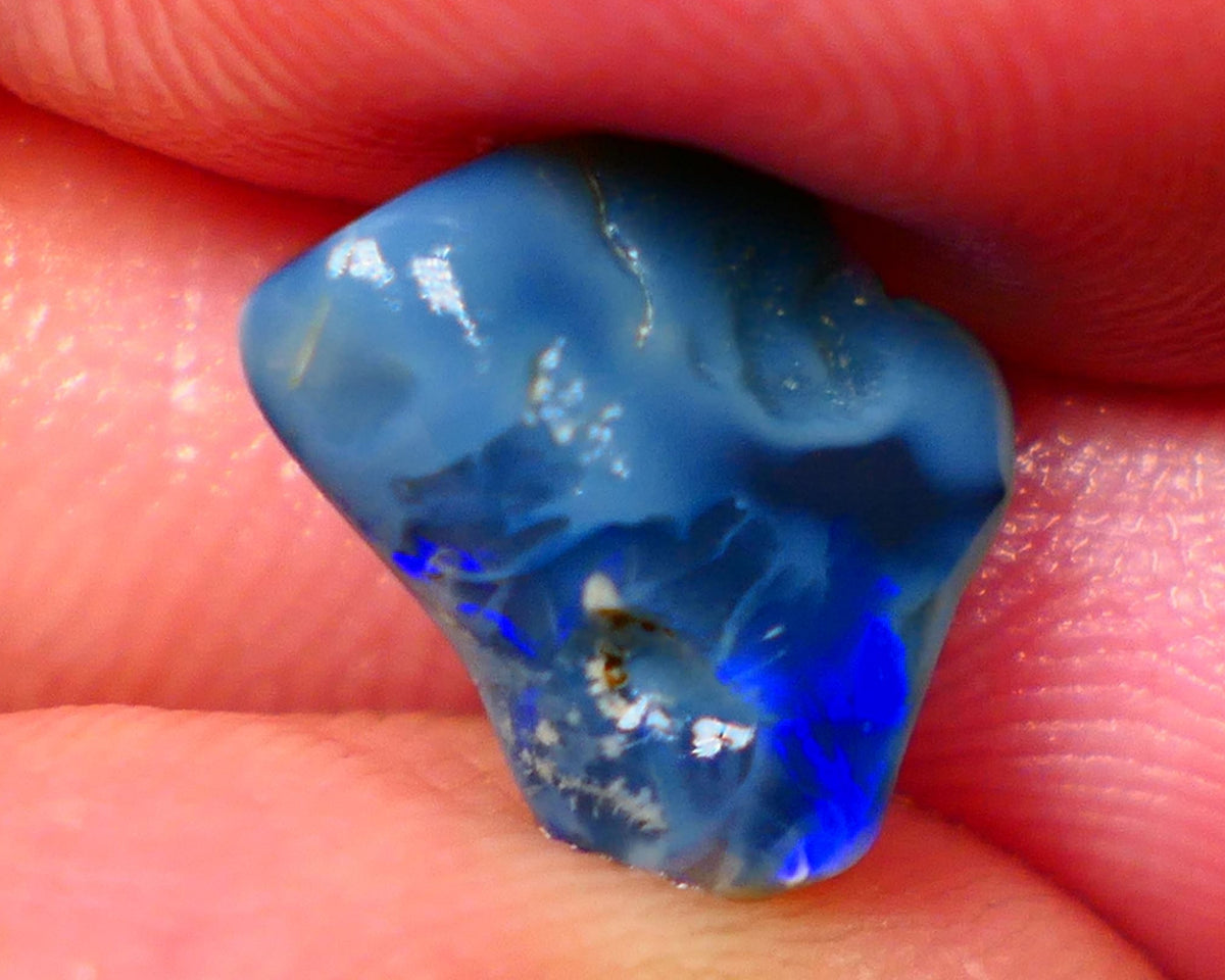 Lightning Ridge Dark base knobby rough opal 2.70cts Zone of Bright Vibrant Royal blues fires 12x9x4mm