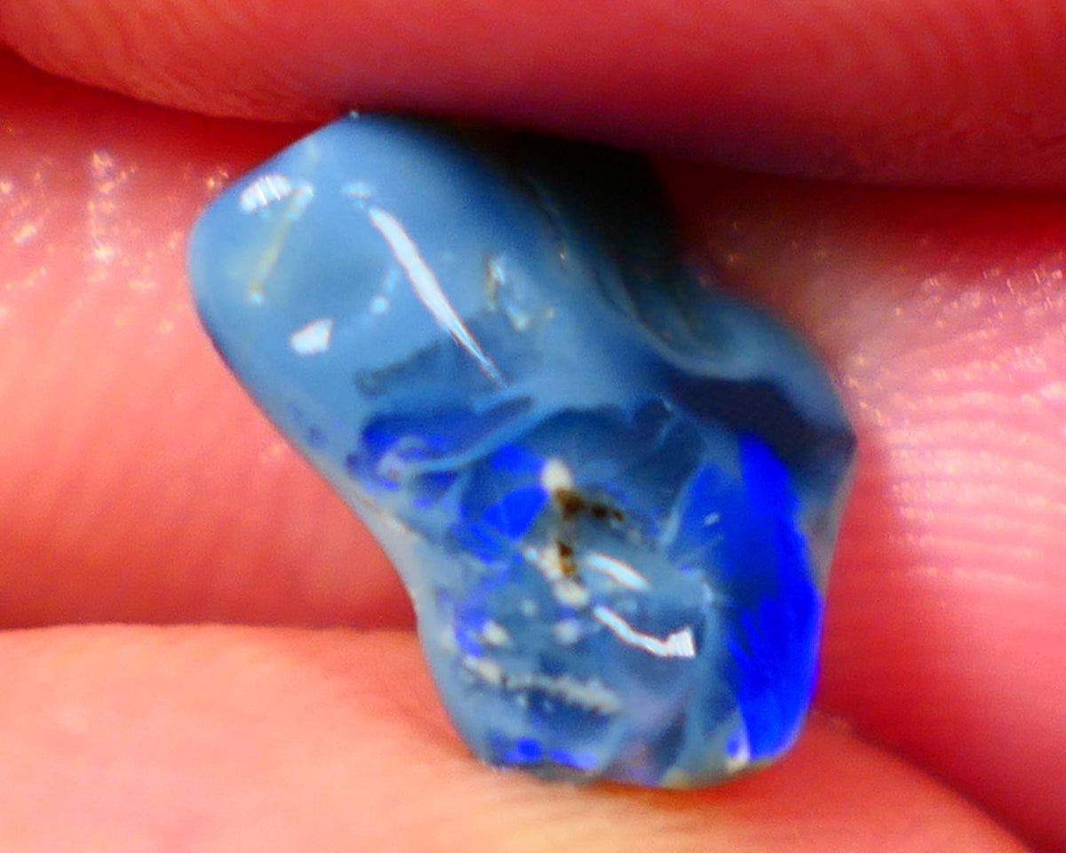 Lightning Ridge Dark base knobby rough opal 2.70cts Zone of Bright Vibrant Royal blues fires 12x9x4mm