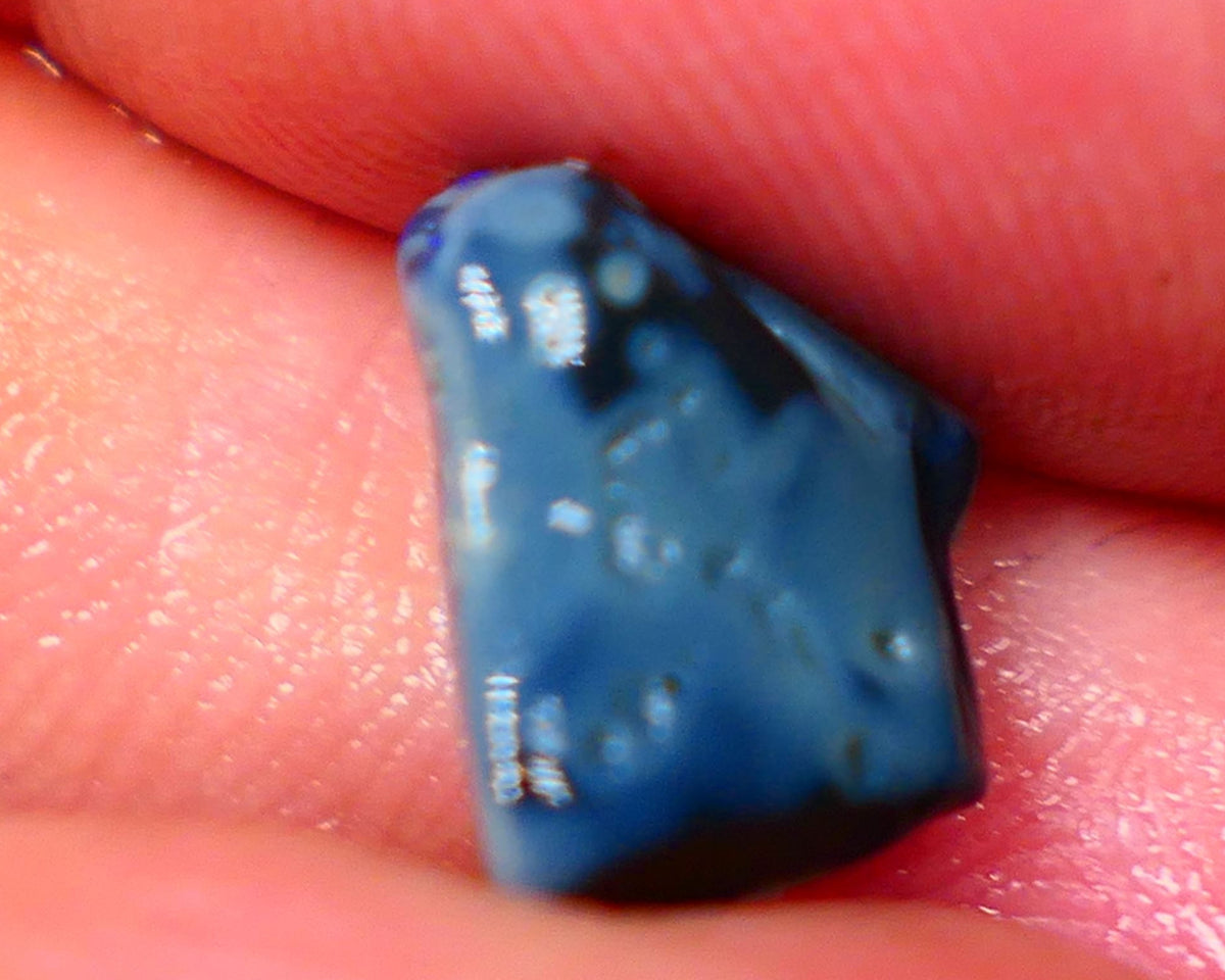 Lightning Ridge Dark base knobby rough opal 2.70cts Zone of Bright Vibrant Royal blues fires 12x9x4mm