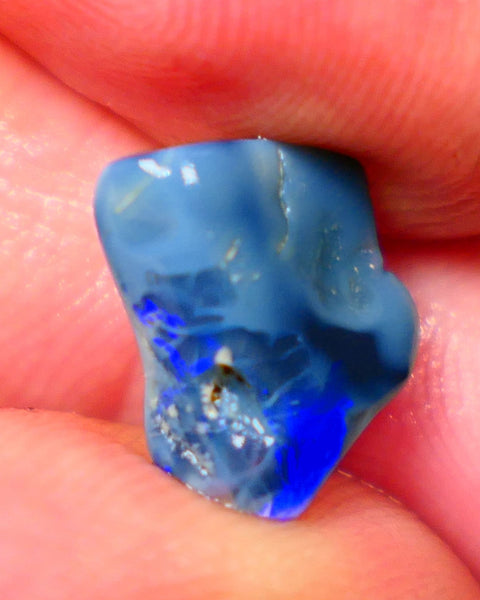 Lightning Ridge Dark base knobby rough opal 2.70cts Zone of Bright Vibrant Royal blues fires 12x9x4mm