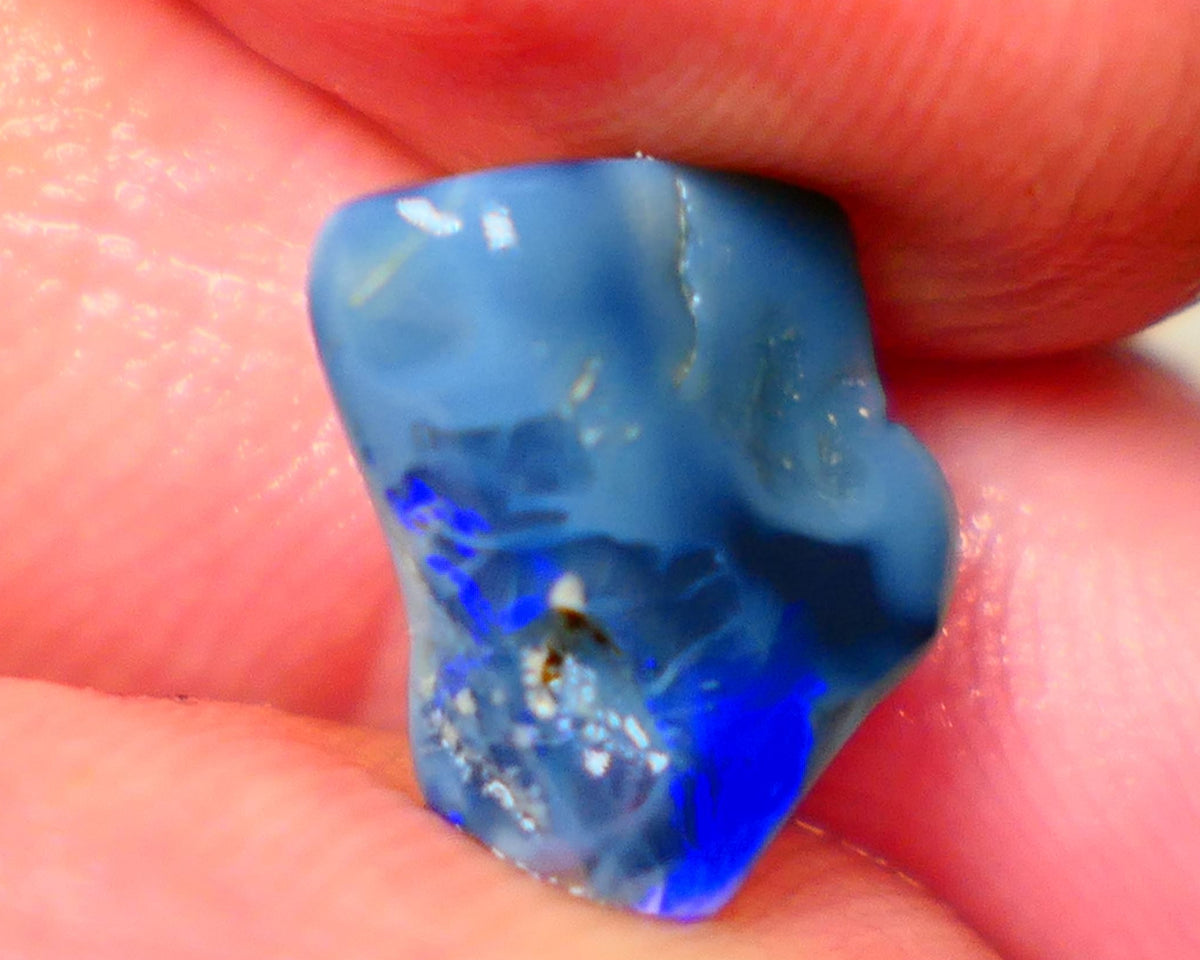 Lightning Ridge Dark base knobby rough opal 2.70cts Zone of Bright Vibrant Royal blues fires 12x9x4mm