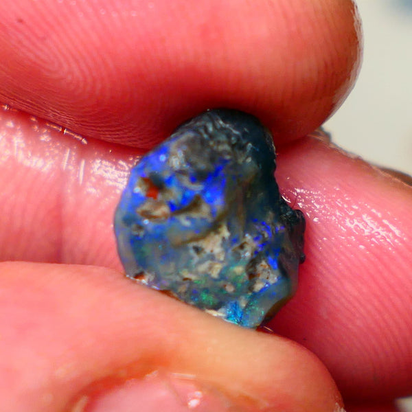 Lightning Ridge Dark Base knobby 4.00cts  Bright Blue colours to explore and gamble 12x8x7mm GMB-034