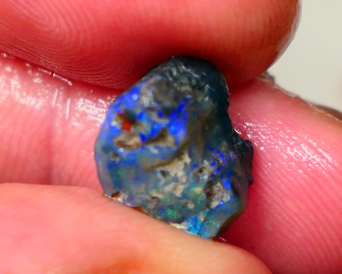 Lightning Ridge Dark Base knobby 4.00cts  Bright Blue colours to explore and gamble 12x8x7mm GMB-034