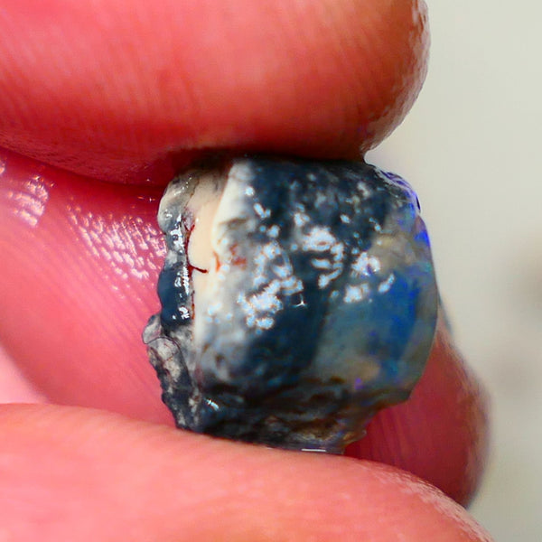 Lightning Ridge Dark Base knobby 4.00cts  Bright Blue colours to explore and gamble 12x8x7mm GMB-034