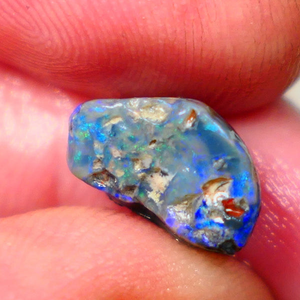 Lightning Ridge Dark Base knobby 4.00cts  Bright Blue colours to explore and gamble 12x8x7mm GMB-034