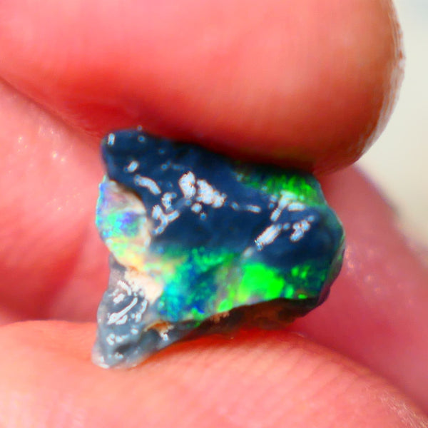 Lightning Ridge Black opal Fossil Rough 2.00cts Stunning Gorgeous Bright Green Dominant Multifires 11x10x4mm GMB-033