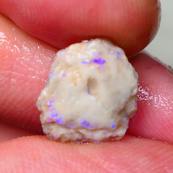 Lightning Ridge Untouched Light base knobby rough opal 3.75cts Blues showing through the skin 14x12x5mm Gamble GMB-031