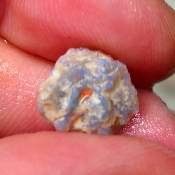 Lightning Ridge Untouched Light base knobby rough opal 3.75cts Blues showing through the skin 14x12x5mm Gamble GMB-031