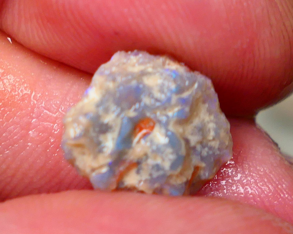 Lightning Ridge Untouched Light base knobby rough opal 3.75cts Blues showing through the skin 14x12x5mm Gamble GMB-031