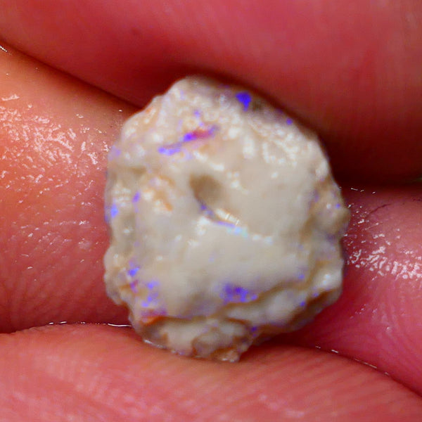 Lightning Ridge Untouched Light base knobby rough opal 3.75cts Blues showing through the skin 14x12x5mm Gamble GMB-031