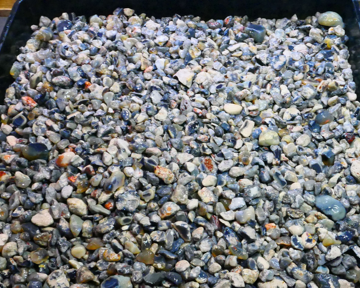 Lightning Ridge Knobby Fossil & Seam Potch Left over from Weeks Wash there is over 10kgs here or 50,000cts Selling in 1000cts Random Scoops  30mm to chip size