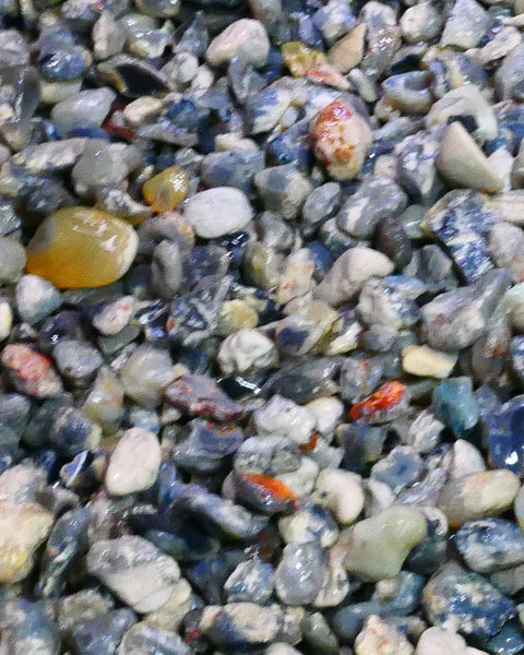 Lightning Ridge Knobby Fossil & Seam Potch Left over from Weeks Wash there is over 10kgs here or 50,000cts Selling in 1000cts Random Scoops  30mm to chip size