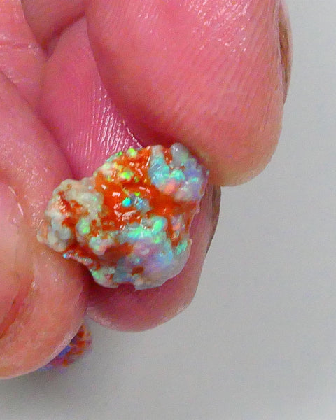 New Weekly Deal Details to come ALP512