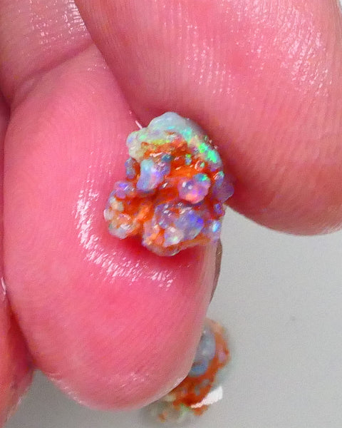 New Weekly Deal Details to come ALP512