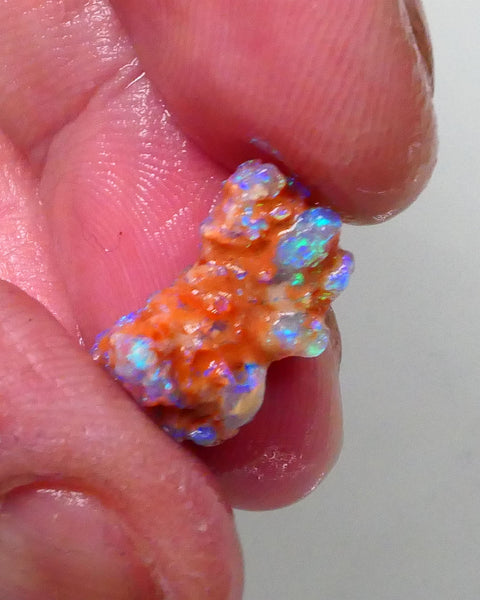 New Weekly Deal Details to come ALP507