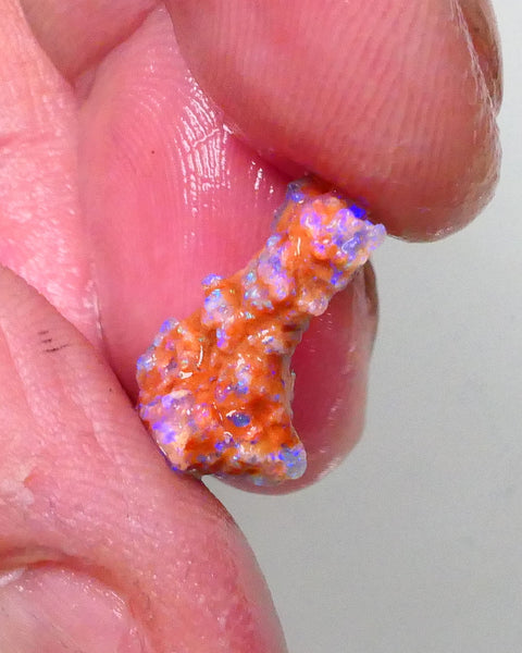 New Weekly Deal Details to come ALP507