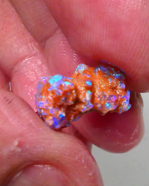 New Weekly Deal Details to come ALP507