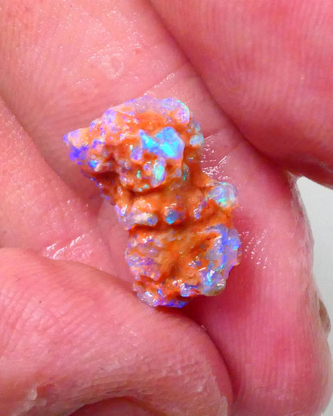 New Weekly Deal Details to come ALP507