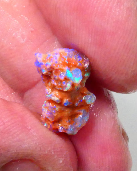 New Weekly Deal Details to come ALP507