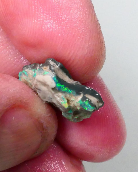 New Weekly Deal Details to come ALP504