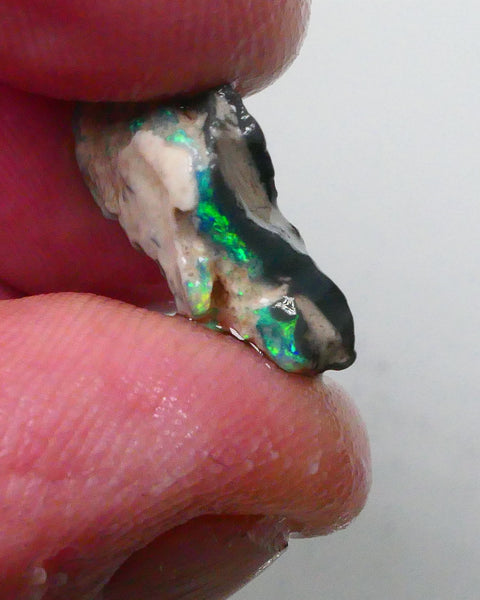 New Weekly Deal Details to come ALP504