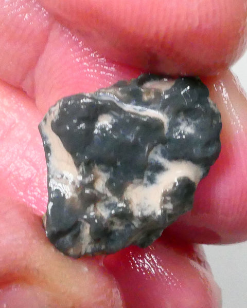 New Weekly Deal Details to come ALP504