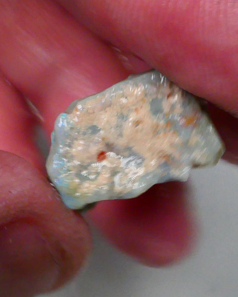 New Weekly Deal Details to come ALP502