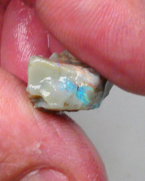 New Weekly Deal Details to come ALP502