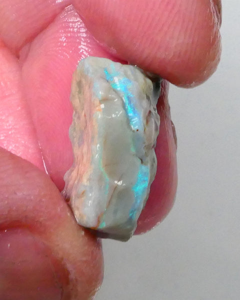 New Weekly Deal Details to come ALP502