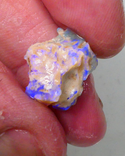 New Weekly Deal Details to come ALP501