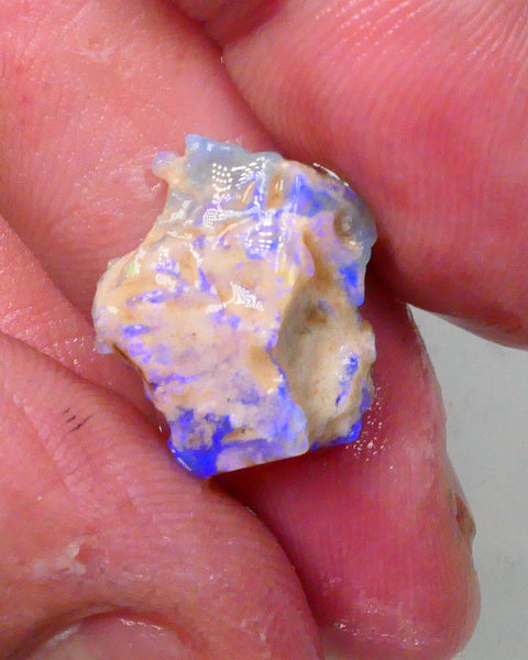 New Weekly Deal Details to come ALP501