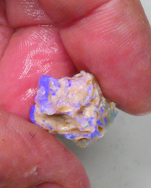 New Weekly Deal Details to come ALP501