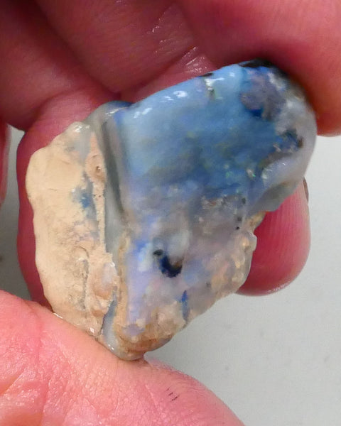 New Weekly Deal Details to come ALP523