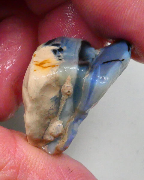 New Weekly Deal Details to come ALP523