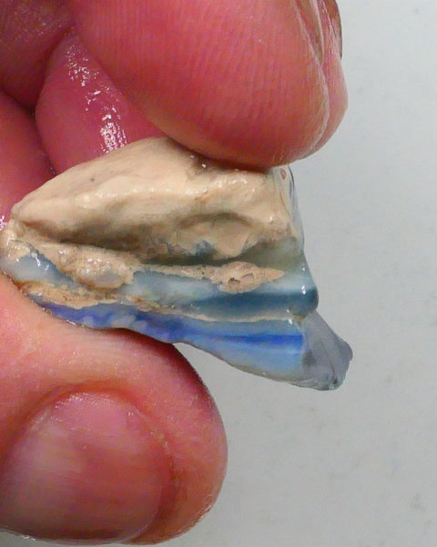 New Weekly Deal Details to come ALP523