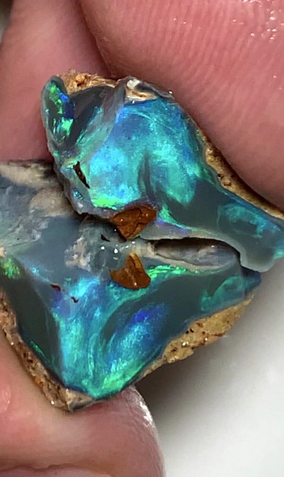 OPAL MONTH SPECIAL Lightning Ridge Rough Opal Dark Base Seam Split 15.75cts Cutters Candy Exotic High Grade Bright Multifires in stunning bars 17x15x8mm to 15x10x7mm WSZ76