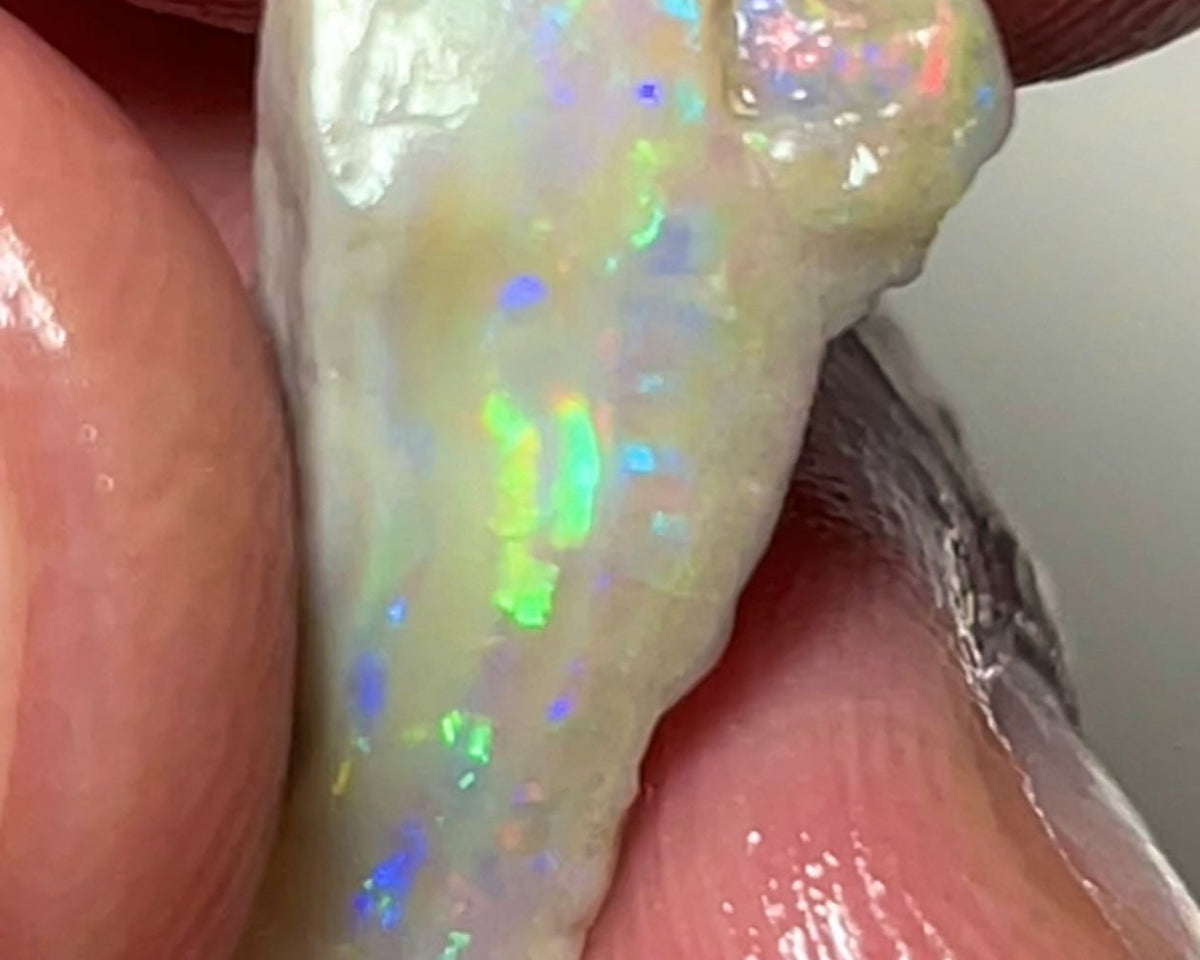 Lightning Ridge Rough Opal 3.95cts Cutters Dark Seam Bright Multicolour 19x9x4mm NSA002