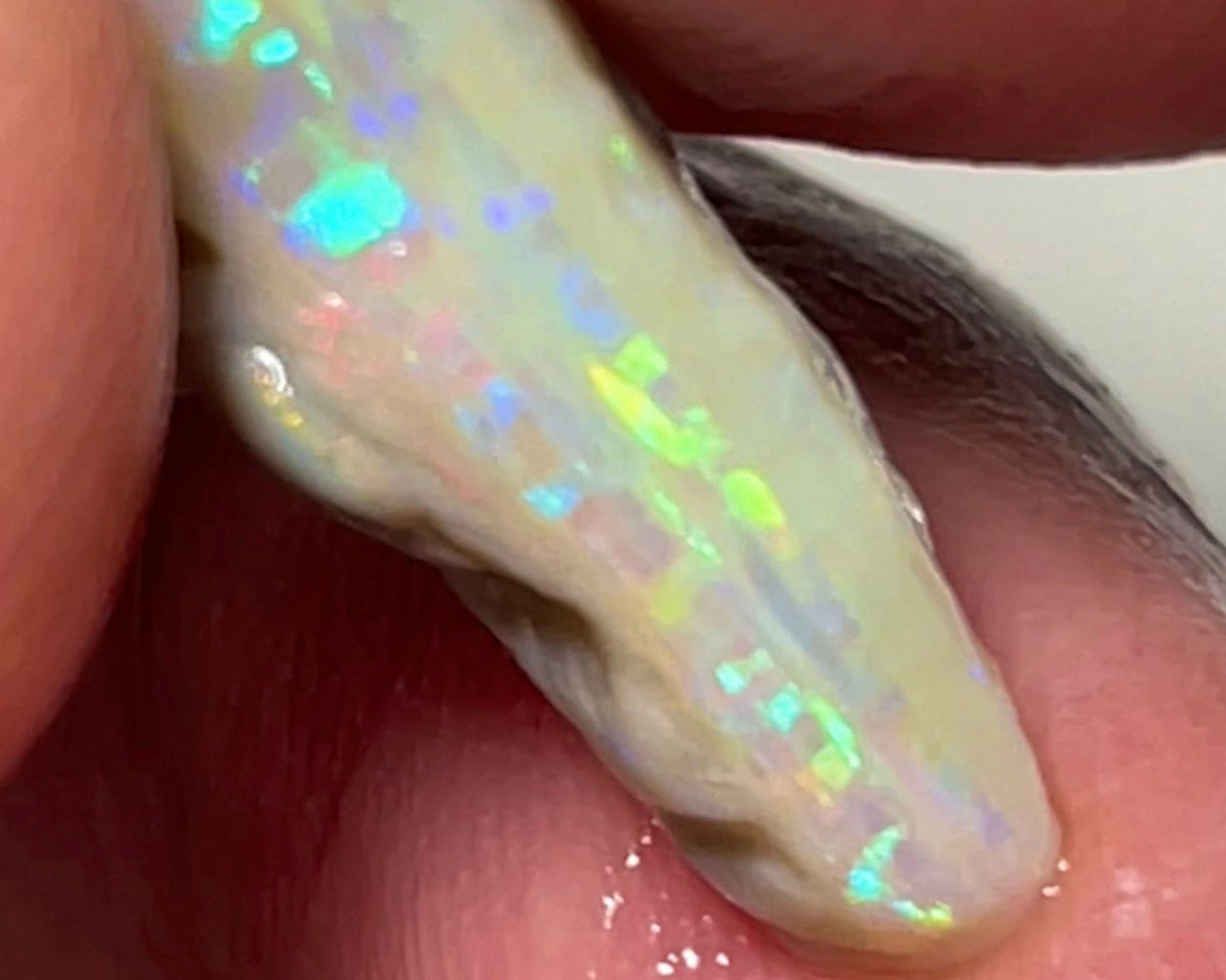 Lightning Ridge Rough Opal 3.95cts Cutters Dark Seam Bright Multicolour 19x9x4mm NSA002