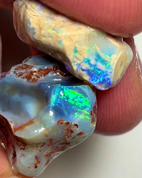 Lightning Ridge Rough Opal 33cts Pair Bright Dark Base Knobby Nice Bright Multi colour fires to Cut / carve & polish 21x18x14mm to 19x14x7mm 1011